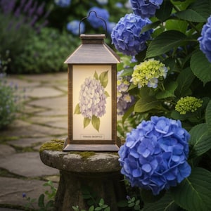 May include: A bronze-colored lantern with a handle, featuring a botanical illustration of a hydrangea flower. The lantern is set on a stone pedestal, surrounded by vibrant blue hydrangea blooms and lush greenery, creating a garden scene.
