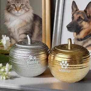 May include: Two decorative pet urns, one silver and one gold, shaped like apples. The silver urn is inscribed with "Buddy" and a paw print, while the gold urn says "Willow" with a paw print. Both have a stem-like handle.