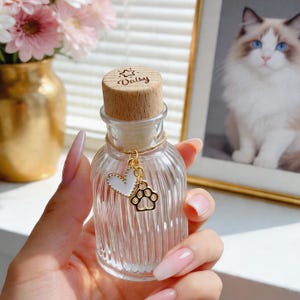 Könnte beinhalten: Eine klare, geriffelte Glasflasche mit einem Holzstopfen, auf dem der Name "Daisy" und ein Sternmuster zu sehen sind. Ein goldener Anhänger mit einem weißen Herzen und einem Pfotenabdruck hängt an der Flasche. Im Hintergrund ist ein gerahmtes Katzenporträt zu sehen.