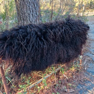 Puede incluir: Una alfombra grande y rectangular de piel de oveja negra con lana larga y rizada. La alfombra est&aacute; colocada al aire libre, cerca de un &aacute;rbol y follaje. La lana parece gruesa y densa, con un aspecto natural y texturizado. La alfombra se utiliza probablemente para la decoraci&oacute;n del hogar.