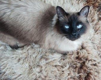 Hand made pet bed sheep friendly felted fleece dog cat bed liner