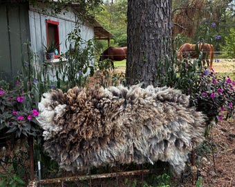 Hand made Felted Fleece Rug or Throw Handmade Organic Wool Accent Lighting Whelk