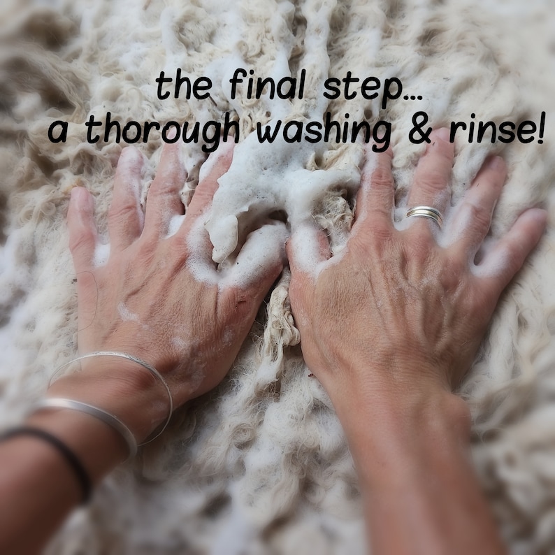 Puede incluir: Manos lavando lana cruda con jab&oacute;n espumoso. El texto de la imagen dice: "the final step... a thorough washing & rinse!" La lana es de color blanco crema.