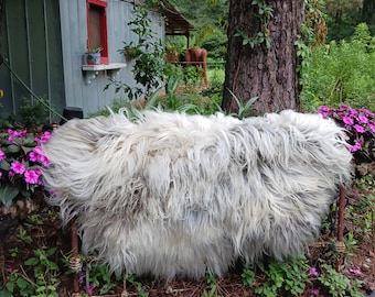 Wild Shaggy Felted Fleece Rug Rustic Modern Wool Decor Long Lock Organic Sheepskin Luxe Textured Chair Cover Bench Accent