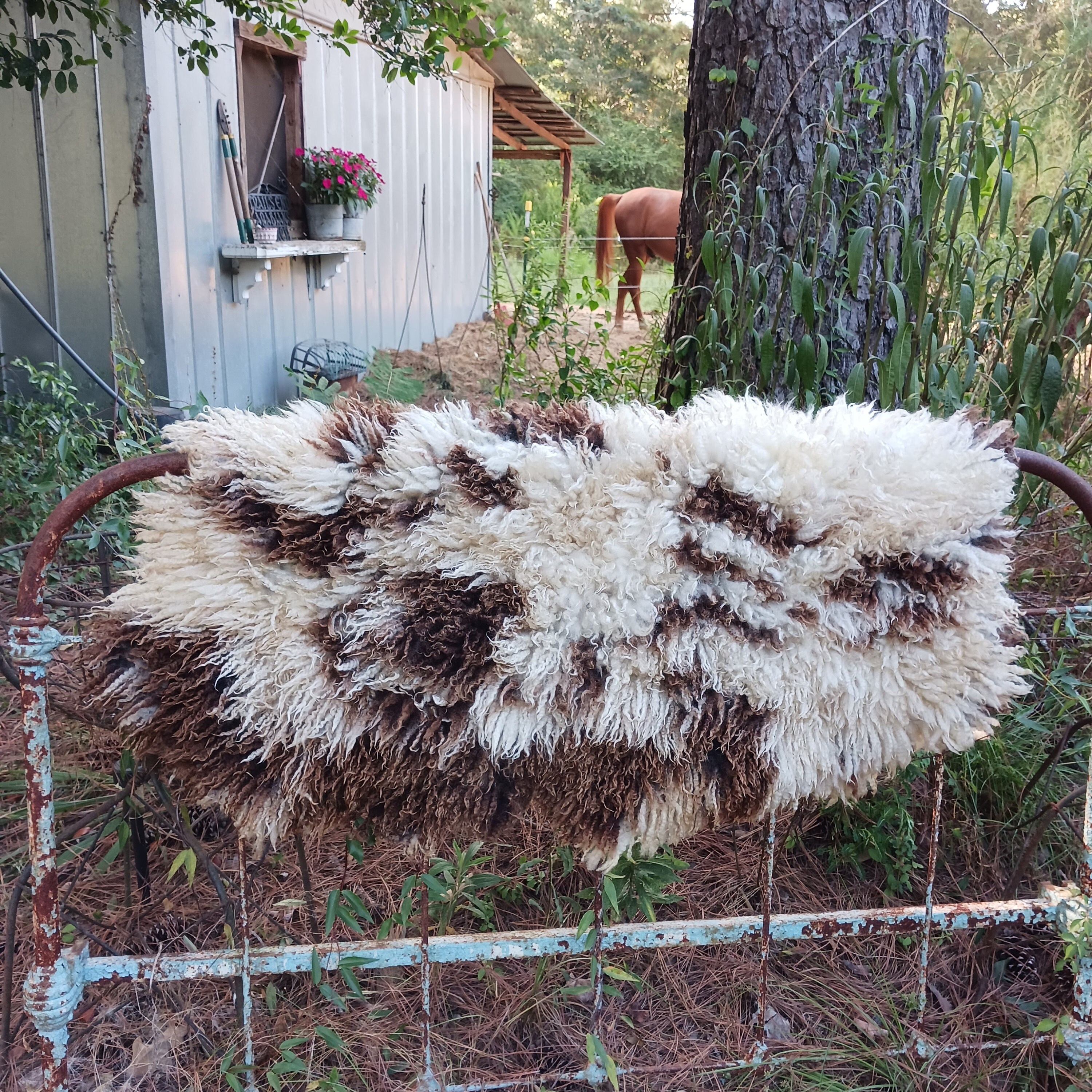 Deep Pile Sheepskin Rug