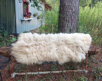 pet beds liners caves