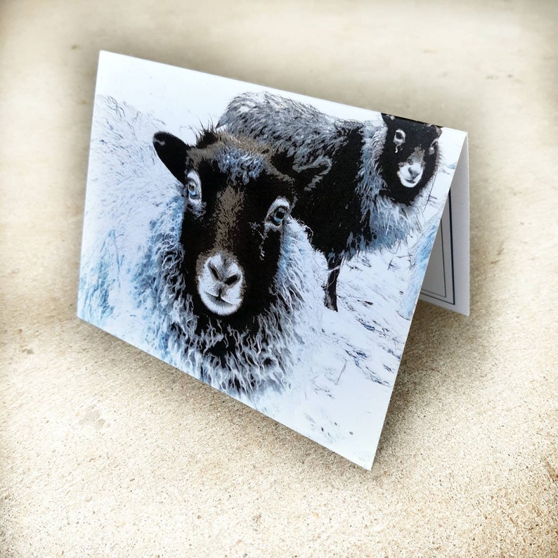 Christian Cards Sheep Lamb Bible Verse note Cards Kjv Etsy