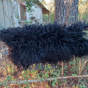 Puede incluir: Una alfombra de piel de oveja negra y peluda est&aacute; sobre una valla met&aacute;lica. La alfombra tiene una textura gruesa y rizada. La palabra "RANCH" es visible en la valla, en un entorno rural.