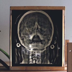 以下が含まれることがあります： 人間の頭蓋骨のX線写真の、額縁に入ったバックライト付き画像。 頭蓋骨は黒い背景に配置され、骨格構造はグレーと白の濃淡で表現されています。 フレームは明るい色の木材で作られています。