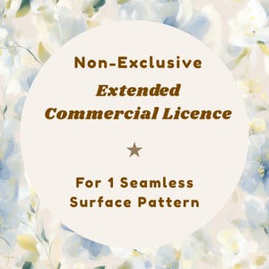 Extended License For Commercial Use For 1 Pattern Non Exclusive Digital