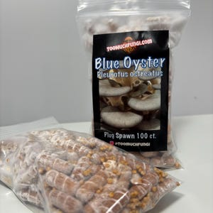 Blue Oyster Mushroom Plug Spawn Dowels, 100 count.