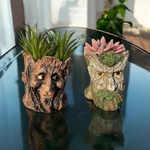 May include: Two tree-face planters, each with a unique expression. One holds green, spiky plants, the other a pink succulent. The planters are brown with detailed textures, creating a whimsical, natural aesthetic.
