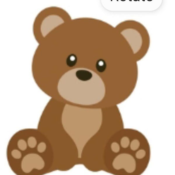 Express Digital Baby Lion