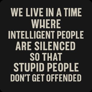 Dark Humor Shirt - Intelligent People Are Silenced So Stupid People Don't Get Offended, Sarcastic Tee
