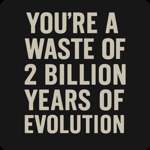 Mean Humor Shirt - You're a Waste of 2 Billion Years of Evolution, Brutal Roast Tee, Science Insult