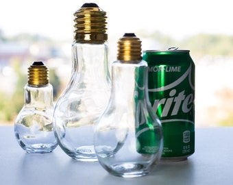 Create a Unique Light Bulb Display. A Conversation Piece No Matter How You Choose to Use Them. Flower Vase, Goldfish Home, Art Project