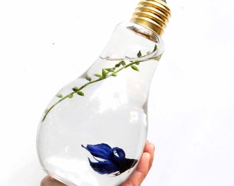 Light Bulb Betta Display Bowl, Lightbulb Jar, Desktop Aquarium Fish Tank, Siamese Fighting , Unique Kids Goldfish Pet, Organic Water Gardens
