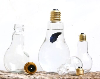 Create a Unique Light Bulb Display. A Conversation Piece No Matter How You Choose to Use Them. Flower Vase, Goldfish Home, Art Project