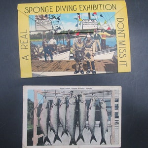 Vintage Tarpon Springs Real Sponge Diving postcard foldout with 18 pictures total