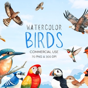 Watercolor Bird Clipart: 70 PNG Wildlife Illustrations (Commercial Use, 300 DPI)
