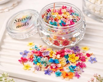 Pequeñas flores secas para uñas, microflores reales prensadas de colores, suministros para manicura y fabricación de joyas de resina, aprox. 50 unidades.