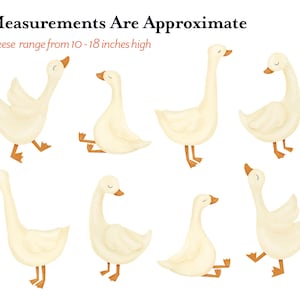 May include: Nine watercolor illustrations of geese in various poses. The geese are white with orange beaks and feet. The text "Measurements Are Approximate" and "Geese range from 10 - 18 inches high" is at the top of the image.