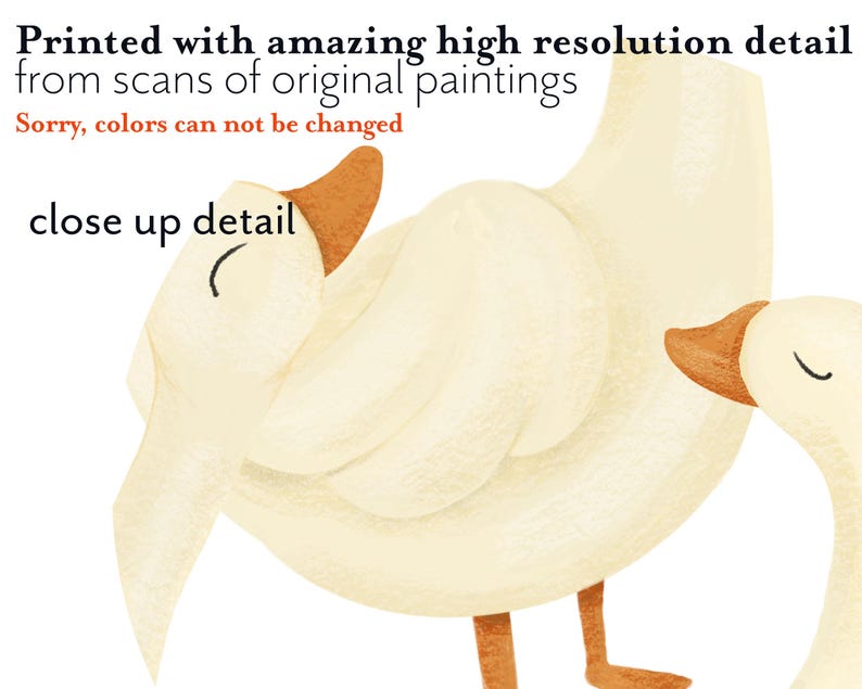May include: A watercolor illustration of two white geese with orange beaks. The geese are cuddling together. The image is printed with high resolution detail from scans of original paintings.