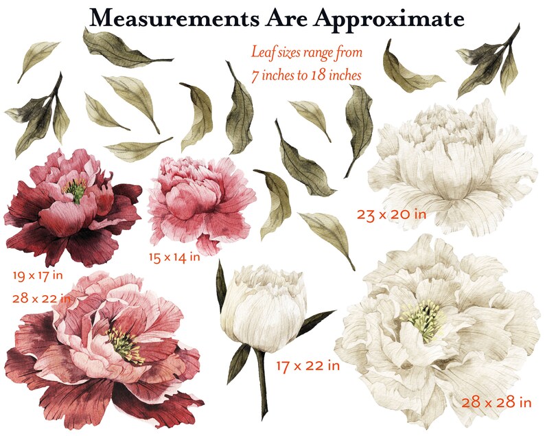 Set of 6 Dark Pink & White Peony Flower Wall Decals Removable Etsy