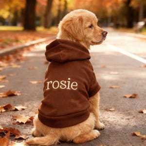 Op de afbeelding: Een gouden retriever puppy draagt een bruine hoodie met de naam "rosie" op de rug geborduurd. De hond zit op een geplaveide weg met gevallen bladeren, met een vage achtergrond van bomen.
