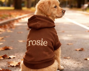 May include: A golden retriever puppy wearing a brown hoodie with the name "rosie" embroidered on the back. The dog is sitting on a paved path with fallen leaves, with a blurred background of trees.