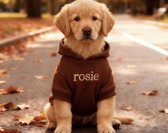 May include: A golden retriever puppy wearing a brown hoodie with the name "rosie" embroidered on it. The puppy is sitting on a paved path with fallen leaves, with a blurred background of trees.