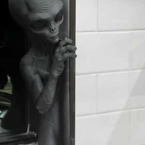 Grey Alien Collection | 3D Printed Shelf Sitters | Curious UFO Visitors | Sci-Fi / Halloween / Nook / Decor