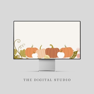 Fondo de pantalla de Pumpkin Patch: un acogedor fondo otoñal