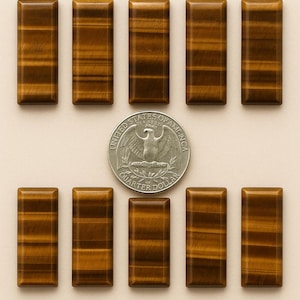 Peut inclure: Dix pierres précieuses rectangulaires en œil de tigre, chacune d'environ 10 x 40 mm, disposées autour d'une pièce de 25 cents. Les pierres ont une couleur marron riche avec des stries dorées. Le texte "10x40mm" est en bas.