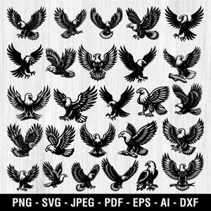 Eagle Svg Bundle, Eagle Vector Silhouette, Flying Eagle Tshirt, Bald Eagle, philadelphia eagle, Cricut Instant Download, American Eagle PNG