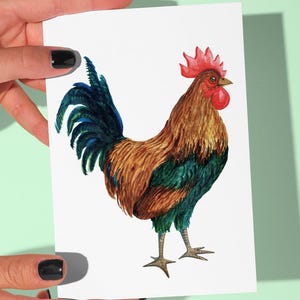 Cartões ilustrados de galo e galo | Pacote com 24 cartões rústicos de fazenda com envelopes | Pacote em massa para agradecimentos e ocasiões especiais