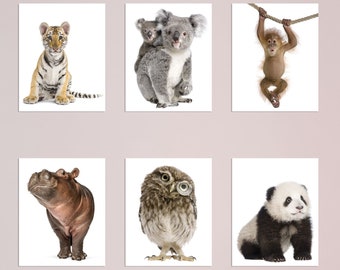 Set of 6 Adorable Baby Animal Wall Prints, Perfect for Nursery & Nature Enthusiasts