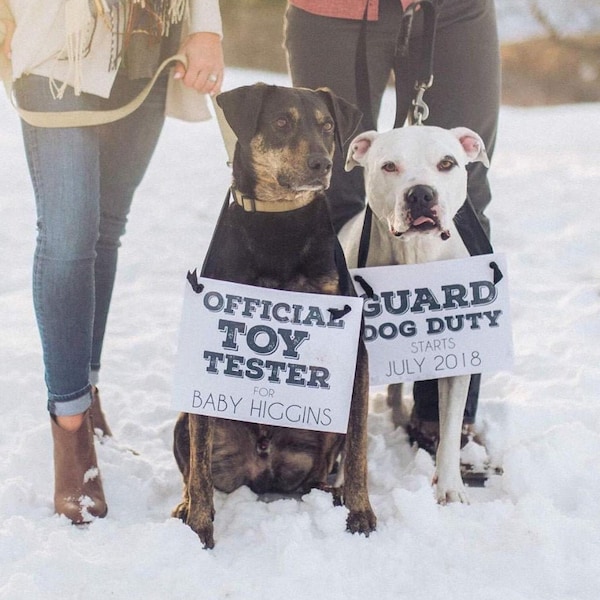 Maternity Photo Dog for Baby Etsy