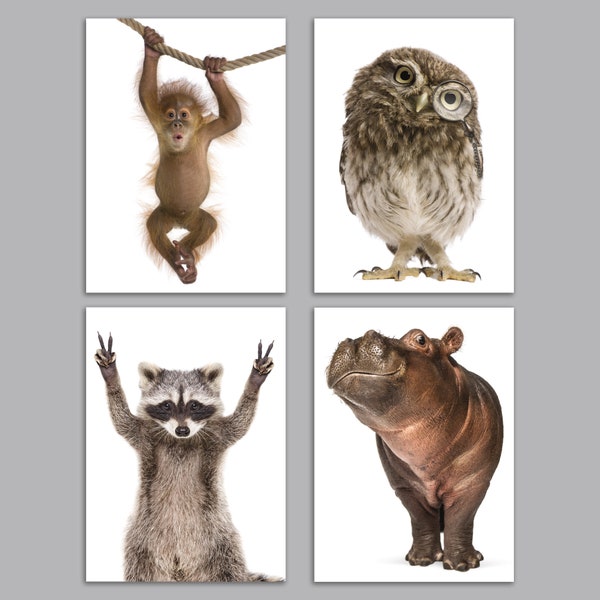 24 Baby Animal Greeting Cards Funny Baby Creatures All Occasion Notecards 6659