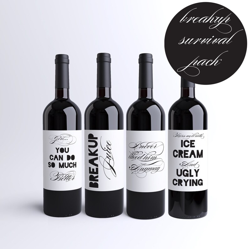 Breakup Wine Bottle Labels Breakup Survival Pack for Besties - Etsy