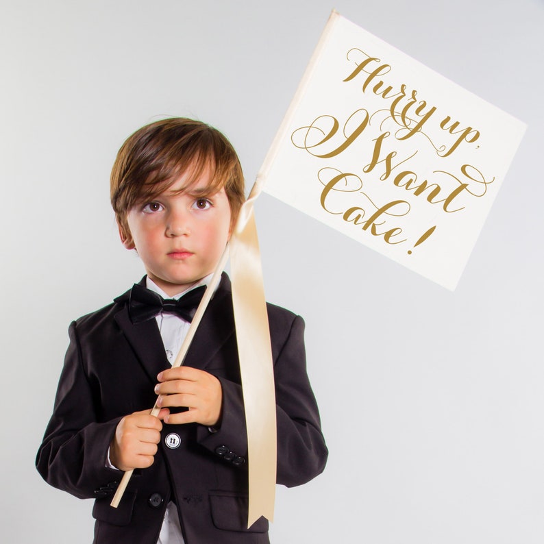 Set of 3 Wedding Signs Here Comes the Bride Sign  Hooray Sign image 2