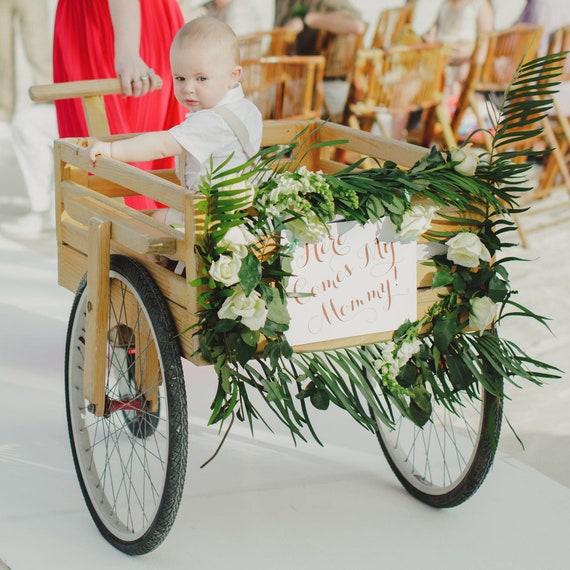 baby ring bearer wagon