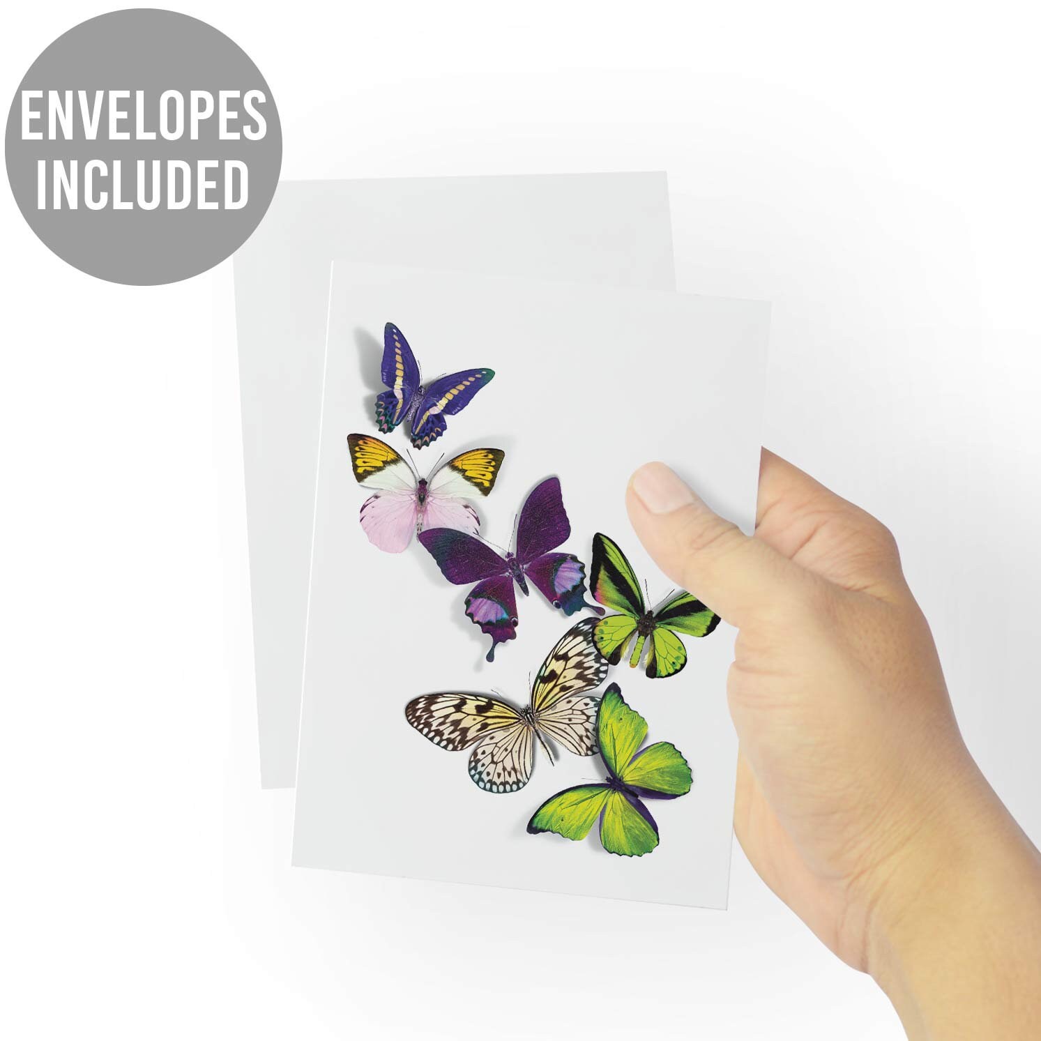 24 Butterfly Greeting Cards Box Set Blank Notecards Beautiful Wings All ...