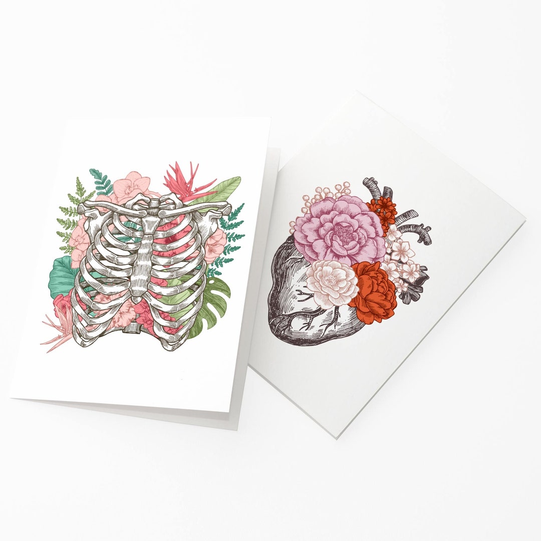 24 Anatomical Drawing Cards Heart Rib Cage Flowers - Etsy Finland
