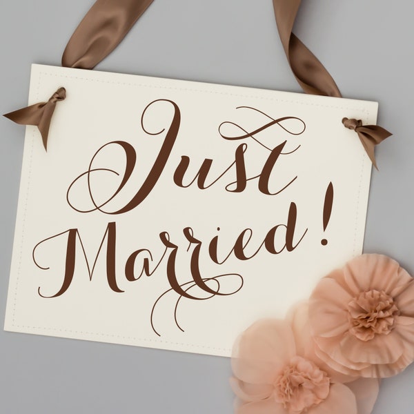 Just Married Hanging Wedding Sign, Flower Girl Ring Bearer Paper Banner  1150