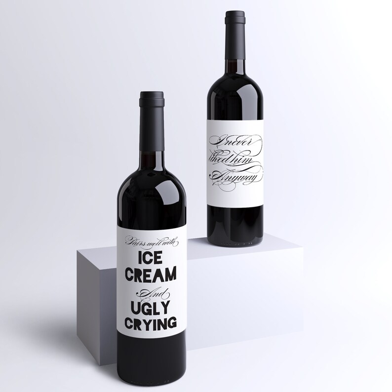 Breakup Wine Bottle Labels Breakup Survival Pack for Besties - Etsy