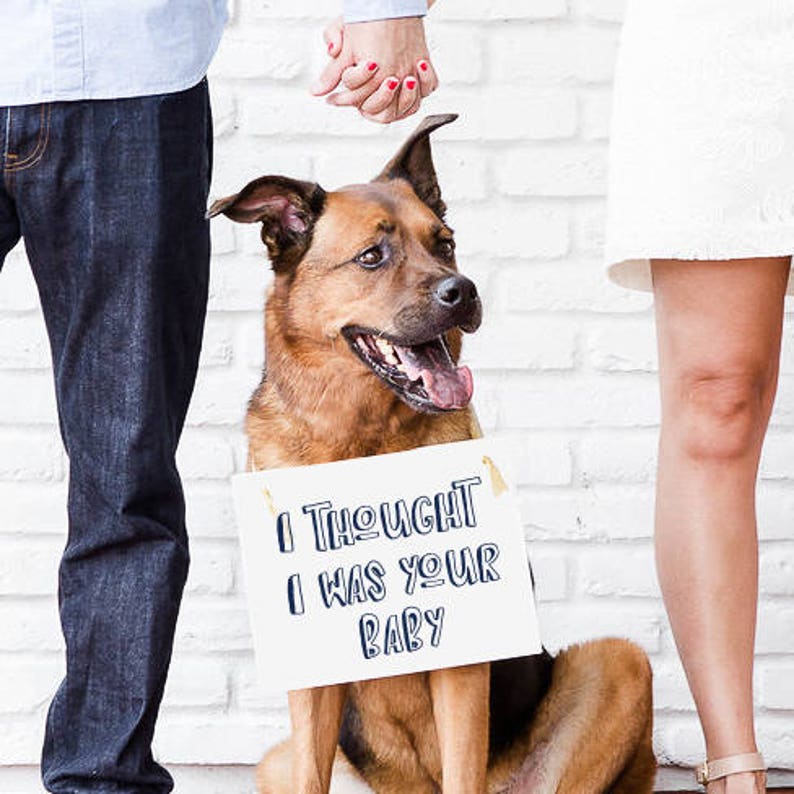 Funny Dog Pregnancy Announcement Sign For New Baby Maternity Photo