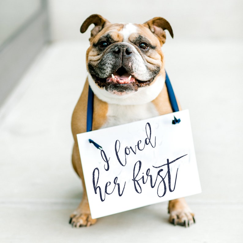 I Loved Her First Sign for Engagement Announcement or Proposal Announcement Wedding Banner for Dog or Child Handcrafted Banner 1724 image 1