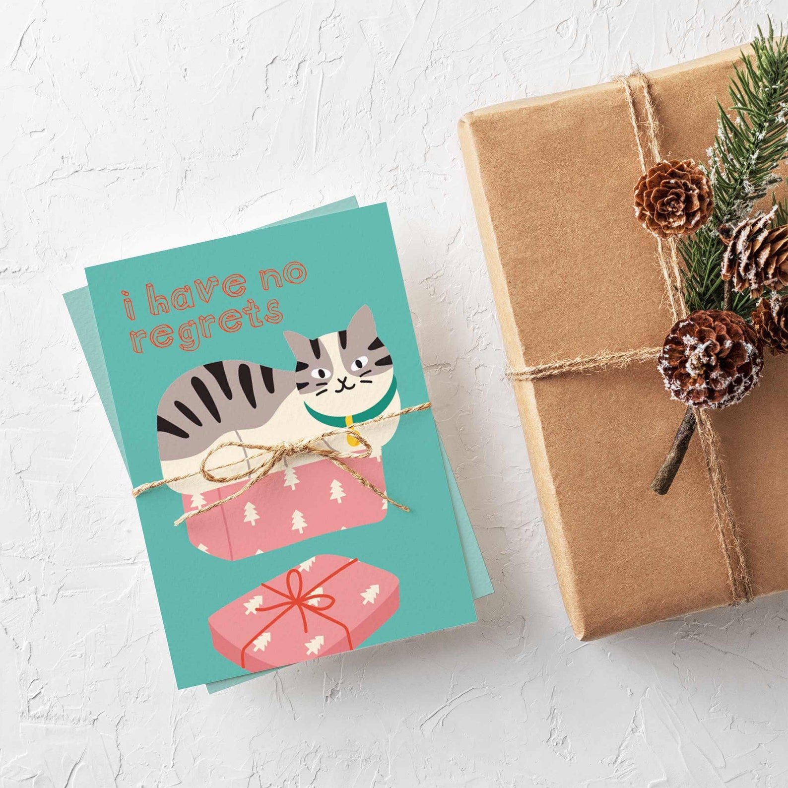 24 Funny Colorful Cat Christmas Cards in 12 Unique - Etsy