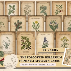 May include: A set of 20 vintage-style printable specimen cards with botanical illustrations. The cards are in sepia tones and feature the text "Specimen Card". The text "The Forgotten Herbarium Printable Specimen Cards" is also visible, offering a nostalgic aesthetic.
